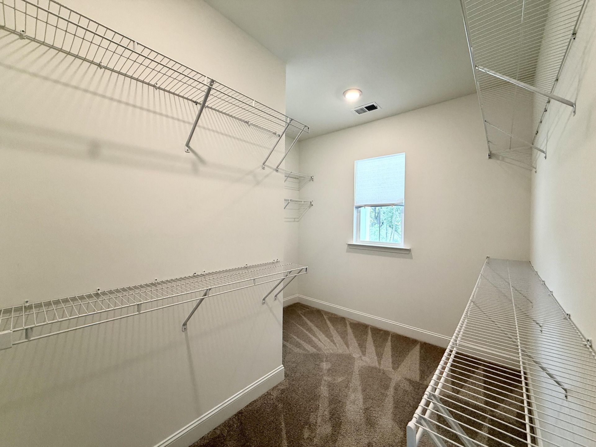 251 Claret Cup Way Photo 23