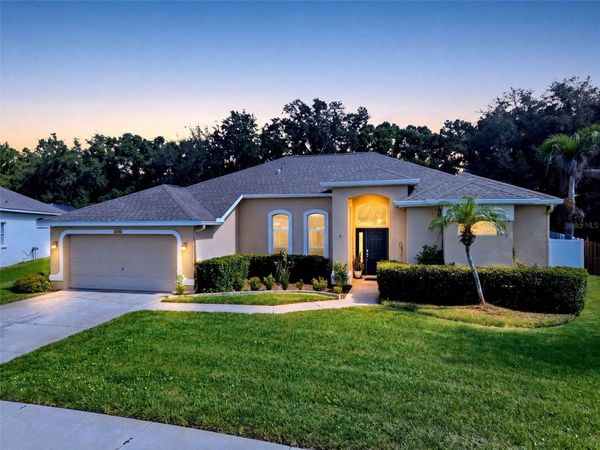 4704 RED WARBLER LANE , VALRICO, FL 33596