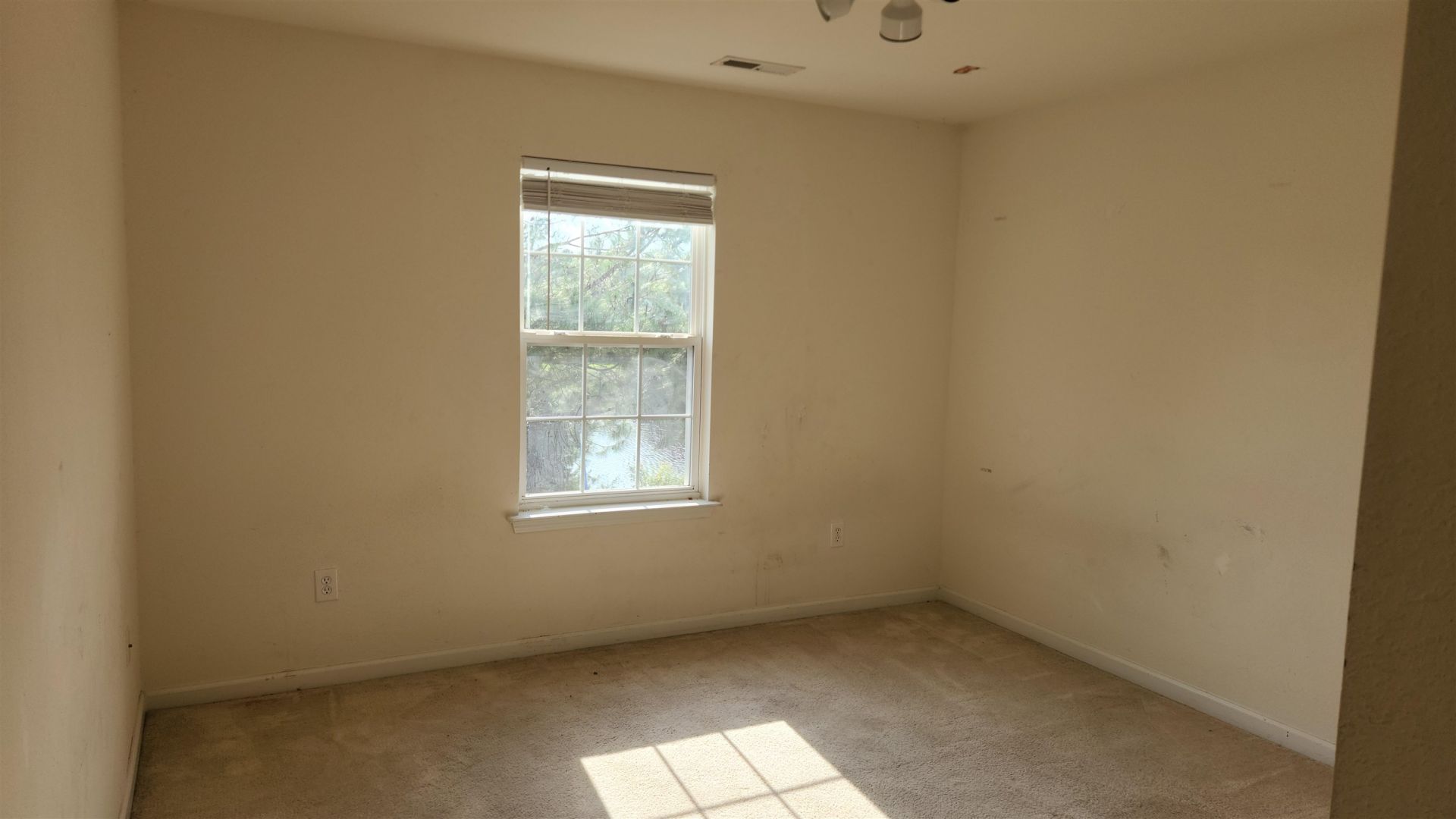 5033 Wickalow Way Photo 15