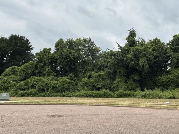5041 CARTERVILLE PL, Memphis, TN 38127