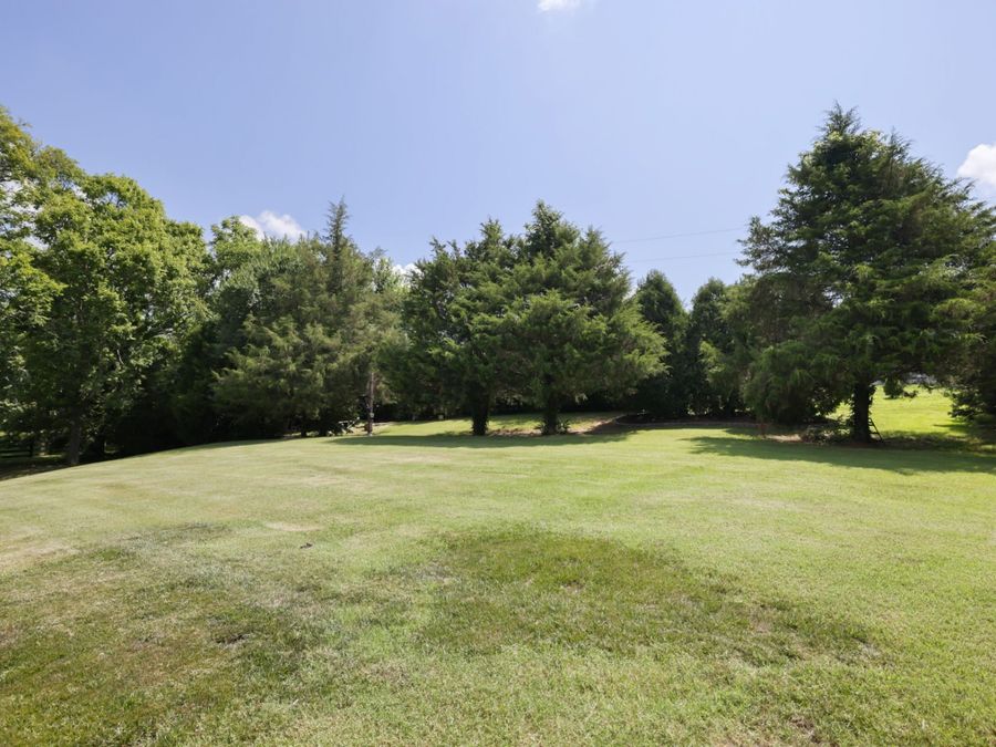 Property Image 95