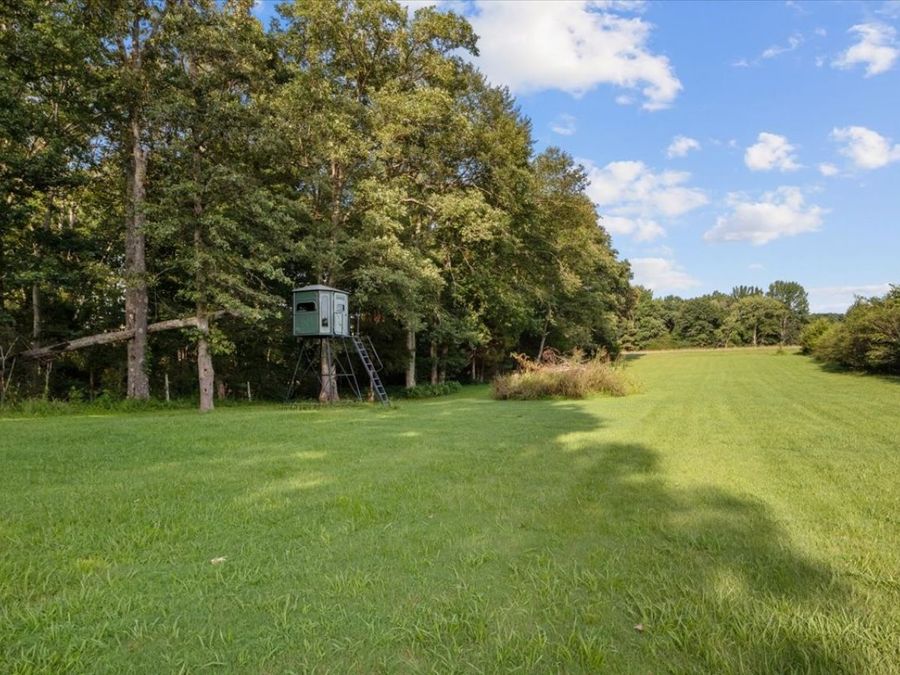 Property Image 71