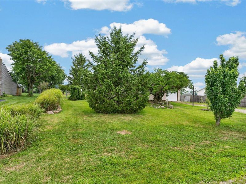 7725 White Oak Road NE, Bloomingburg, OH 43106 Photo 28