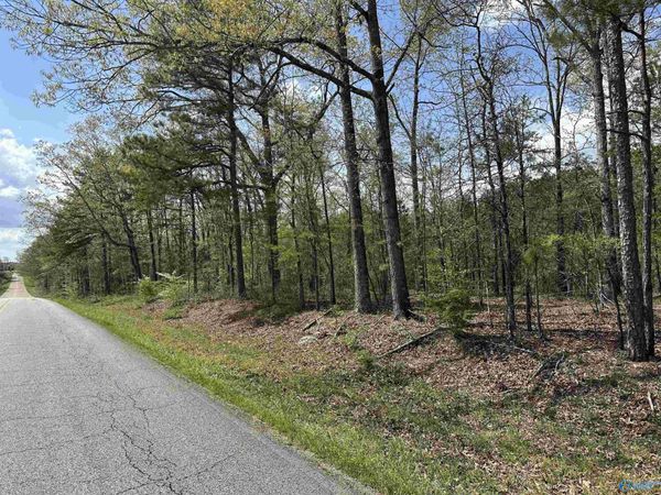 37.5 Northwood Drive, Centre, AL 35960