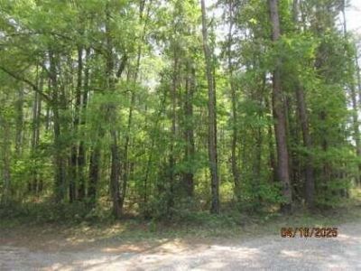 0 Old Arrowhead Road, Huger, SC 29450
