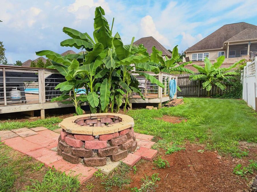 Property Image 58