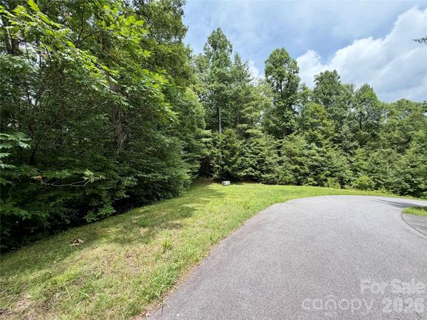 1156 Bear River Lodge Trail , Marshall, NC 28753