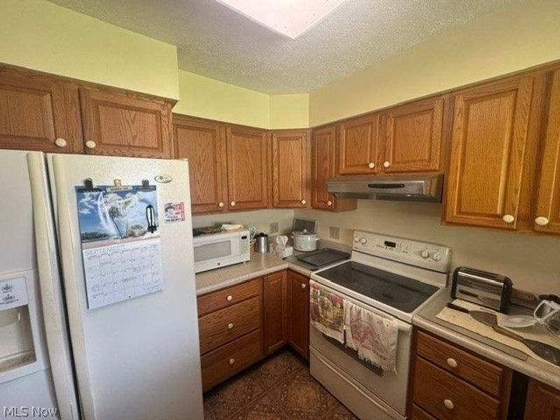 978 Elberon Avenue, Salem, OH 44460 Photo 2