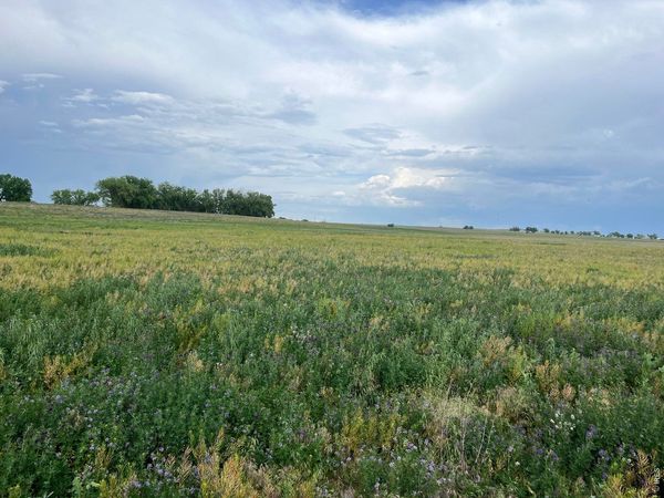 0 County Road 33, Platteville, CO 80651