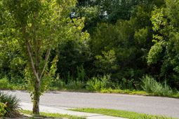 3993 Four Poles Park Drive photo 4
