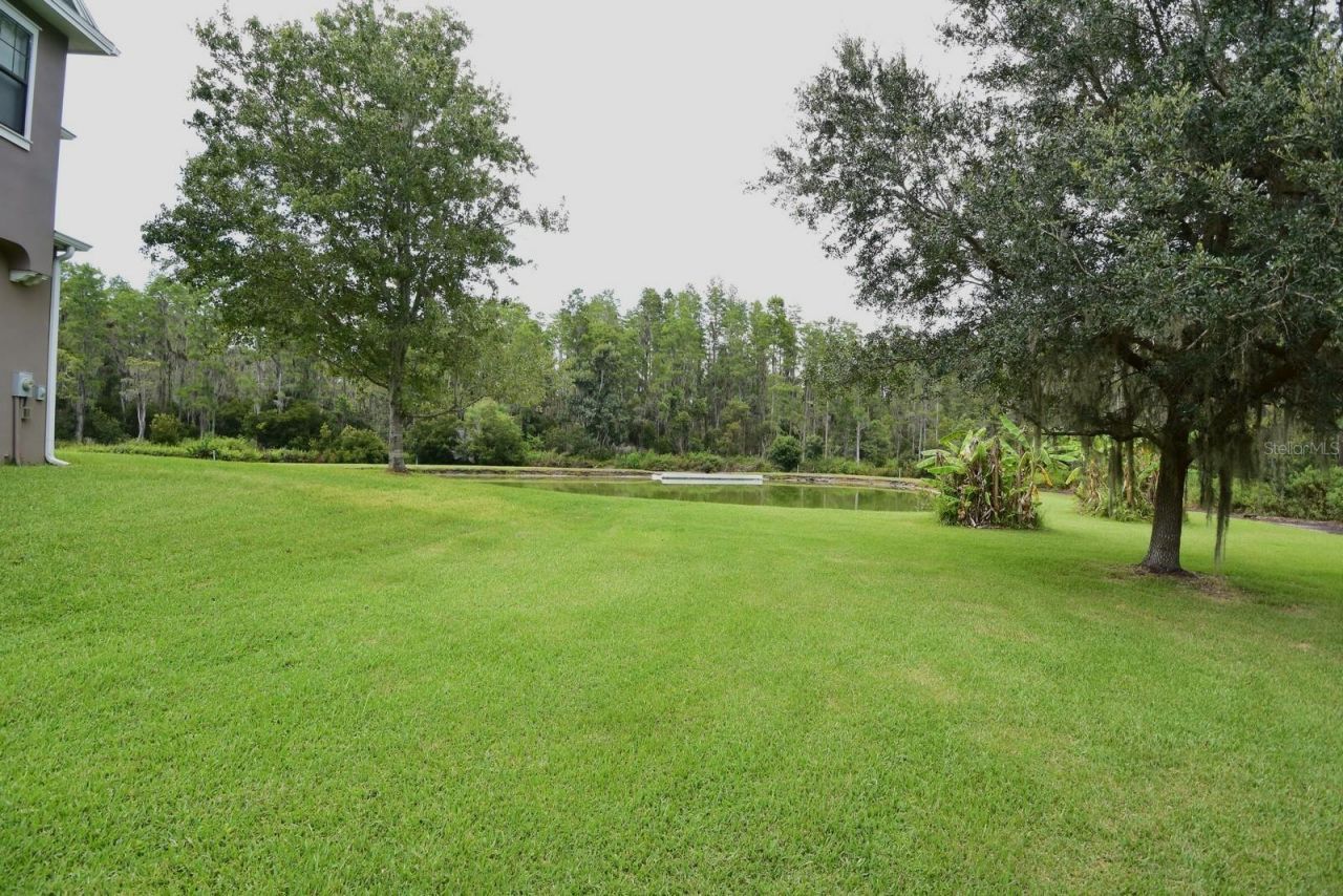 3554 Pickerell Place , New Port Richey, FL 34655 Photo