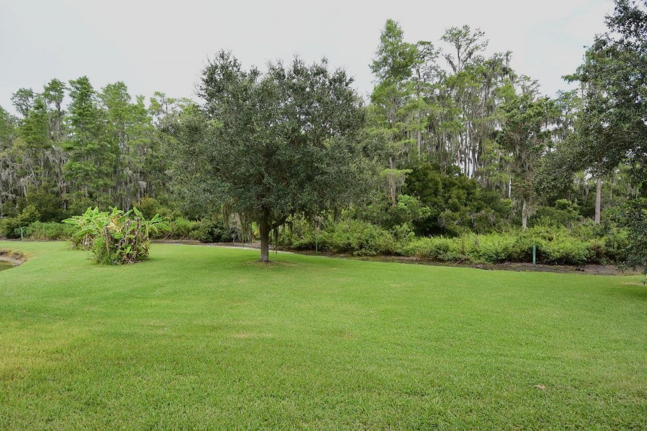 3554 Pickerell Place , New Port Richey, FL 34655 Photo
