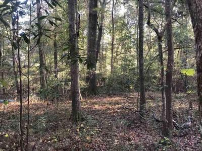 TBD Pineview St, Darlington, SC 29532