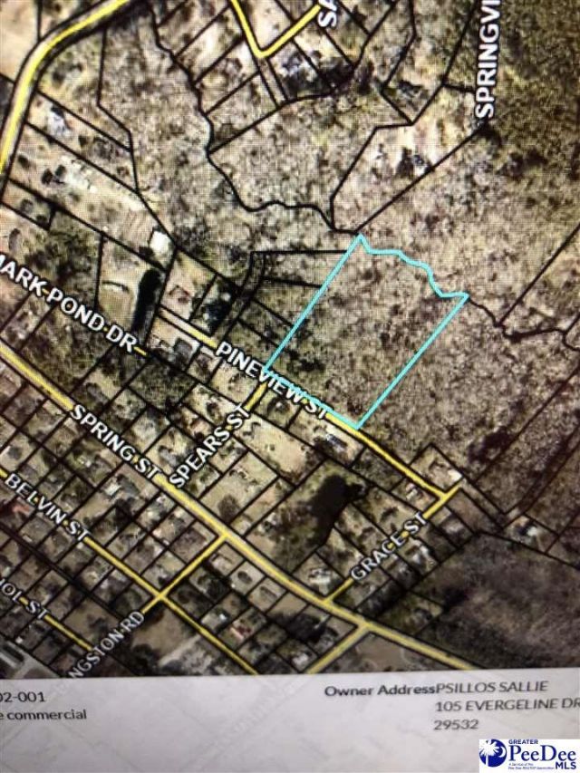 Tbd Pineview St Photo 9