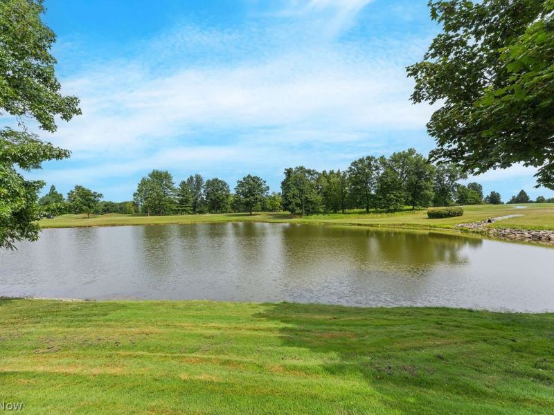 3825 Weymouth Woods Drive, Medina, OH 44256 Photo 47