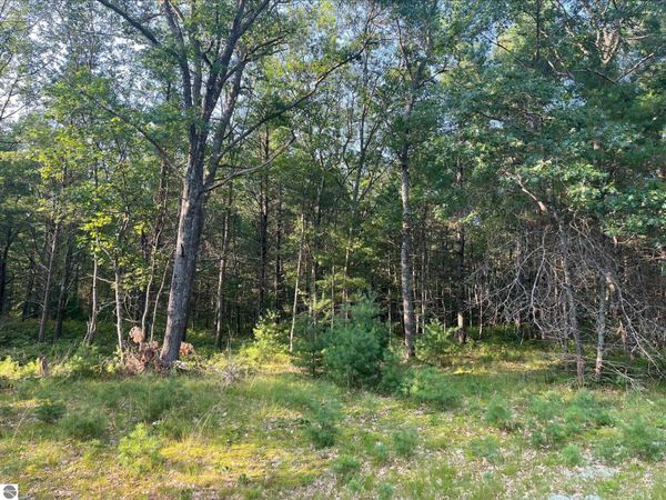 MacKenzie Road, Au Sable, MI 48750