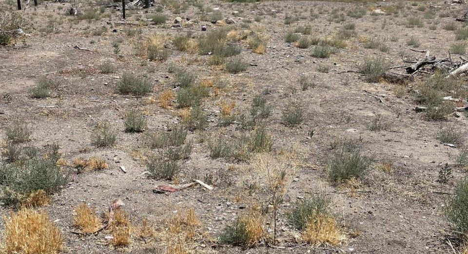 0 Liberty Road, Wadsworth, NV 89442 Photo
