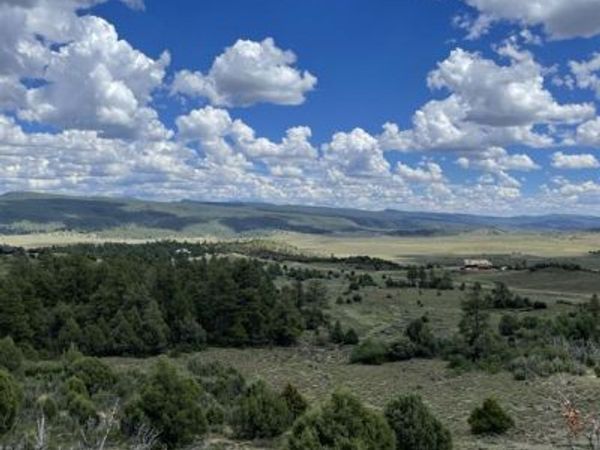 1950 Lodge Pole, Pagosa Springs, CO 81147