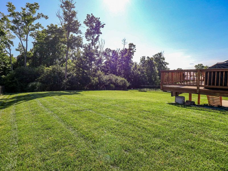1487 Grand Ledge Court, Independence, KY 41051 Photo 43