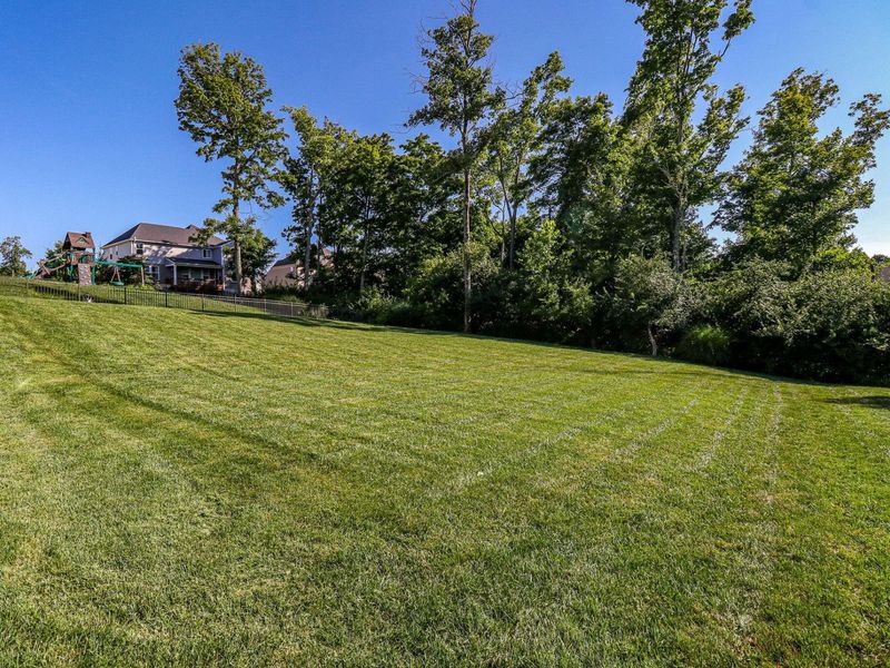 1487 Grand Ledge Court, Independence, KY 41051 Photo 45