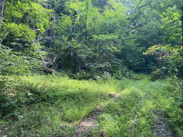 0 Sherman Lane, New Haven, VT 05472