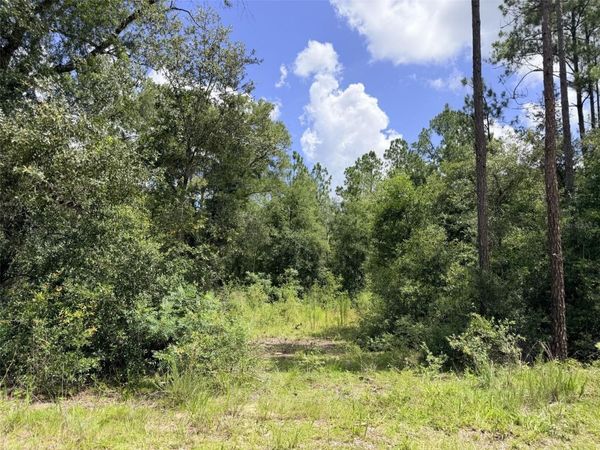 0 NE 77 PLACE , BRONSON, FL 32621