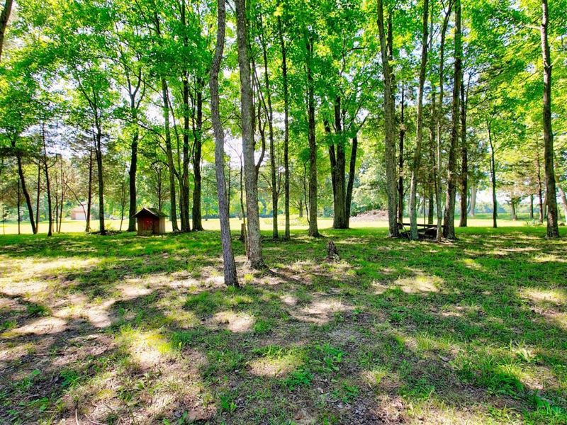 5671 St Rt 132, Stonelick Twp, OH 45103 Photo 23