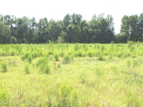 590 County Road 247 , Bruce, MS 38915