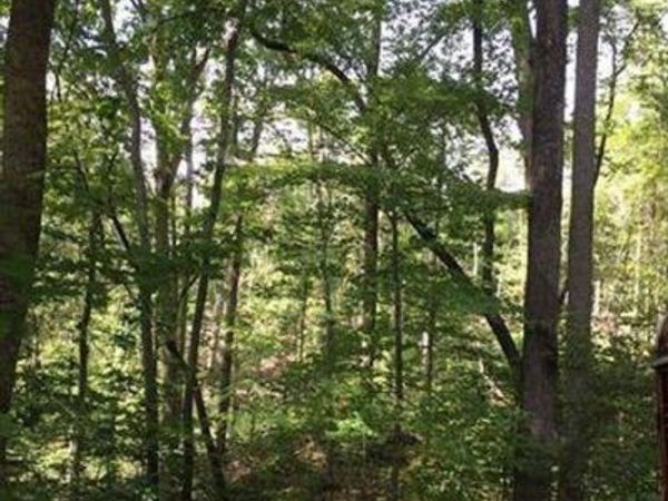 Lot 25 Bluebird Terrace, Lake Lure, NC 28746