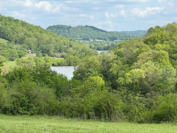 222 Cook Hollow Ln , Pleasant Shade, TN 37145