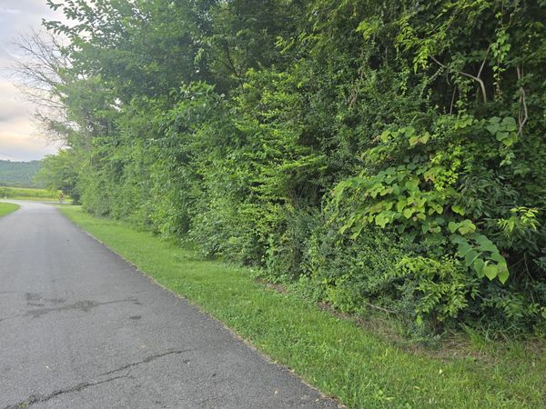 1240 Old Beersheba Rd , McMinnville, TN 37110