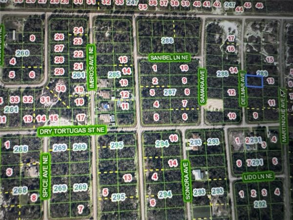 110 DELMAR AVENUE NE, LAKE PLACID, FL 33852