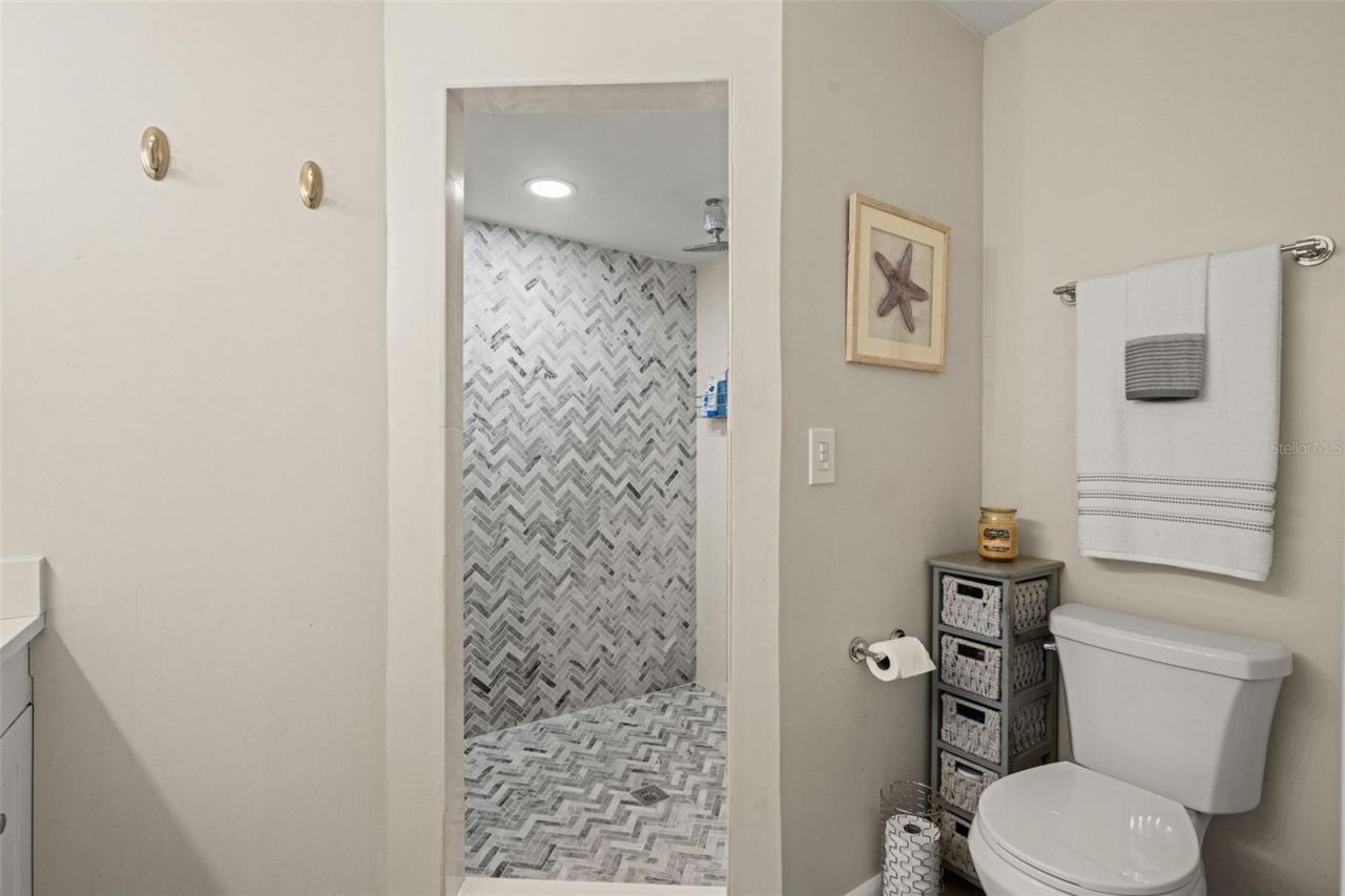 15521 Wetstone Drive, Tampa, FL 33613 Photo