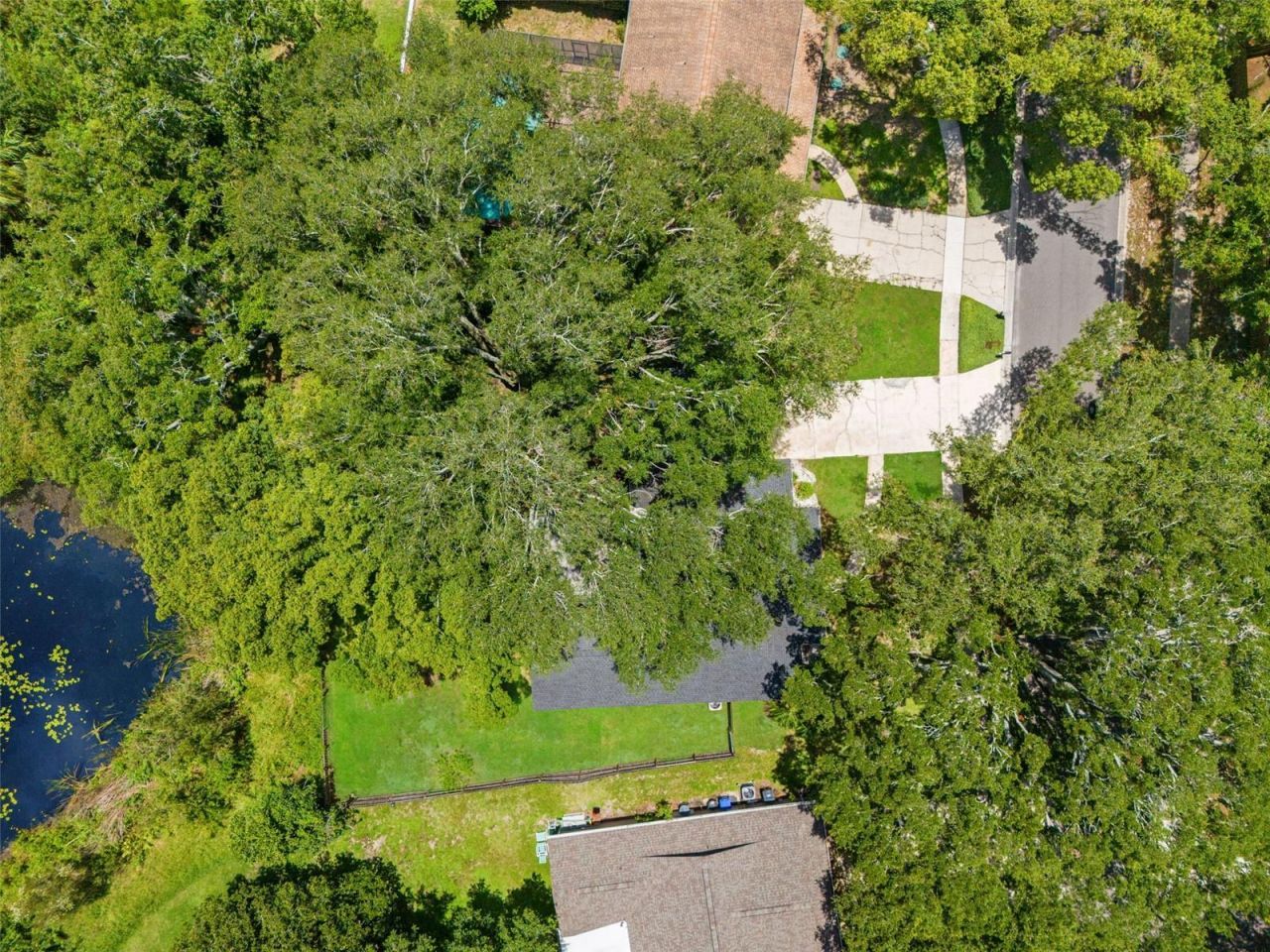 15521 Wetstone Drive, Tampa, FL 33613 Photo