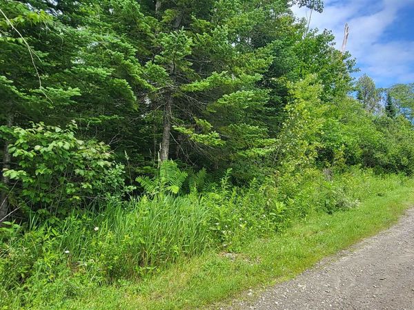 0 Thomas West Road, Lunenburg, VT 05906