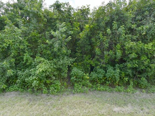 3025 SW COLLINGS Drive, Port St. Lucie, FL 34953
