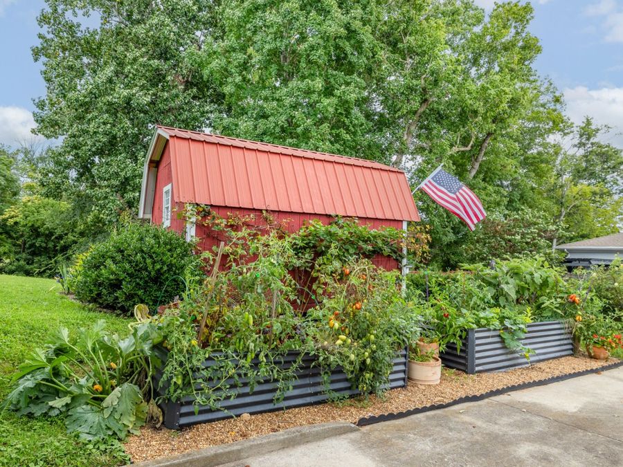 Property Image 33