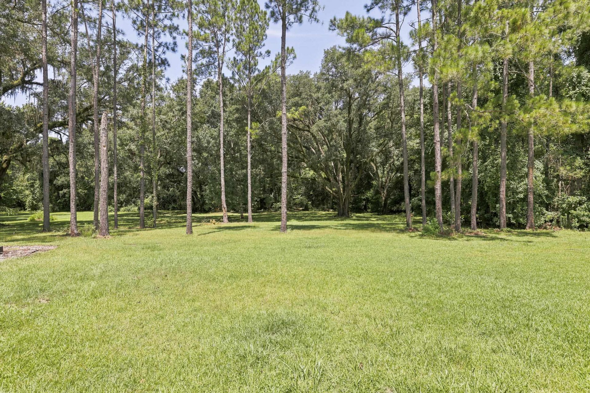 9737 Faraway Farm Road, Tallahassee, FL 32317 Photo