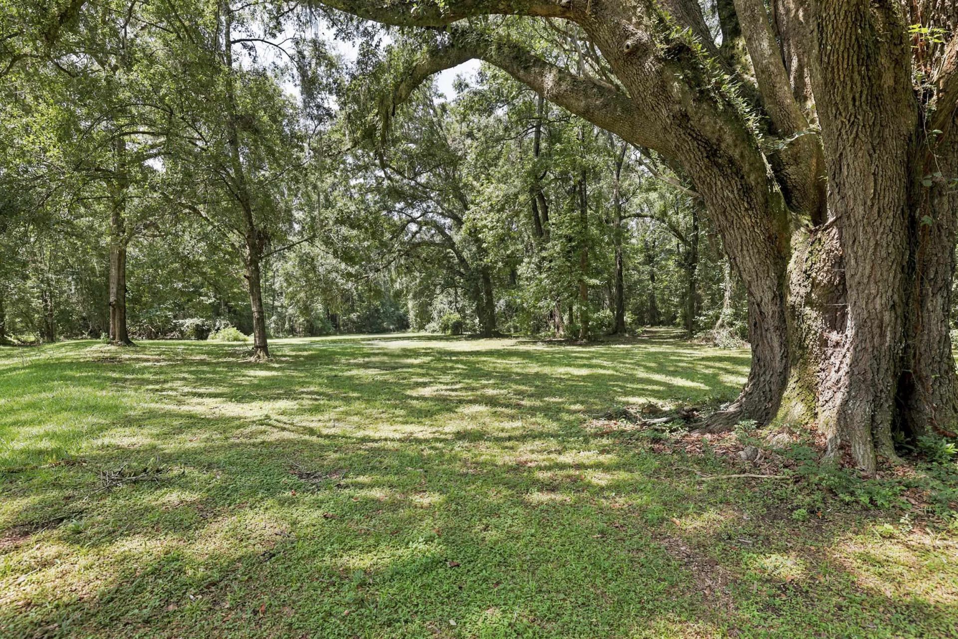 9737 Faraway Farm Road, Tallahassee, FL 32317 Photo
