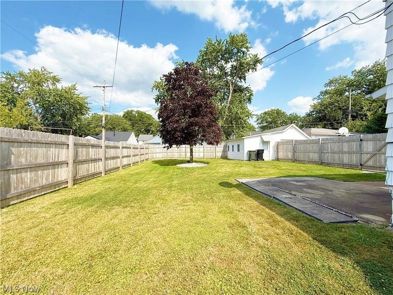 342 Concord Avenue, Elyria, OH 44035 Photo 5