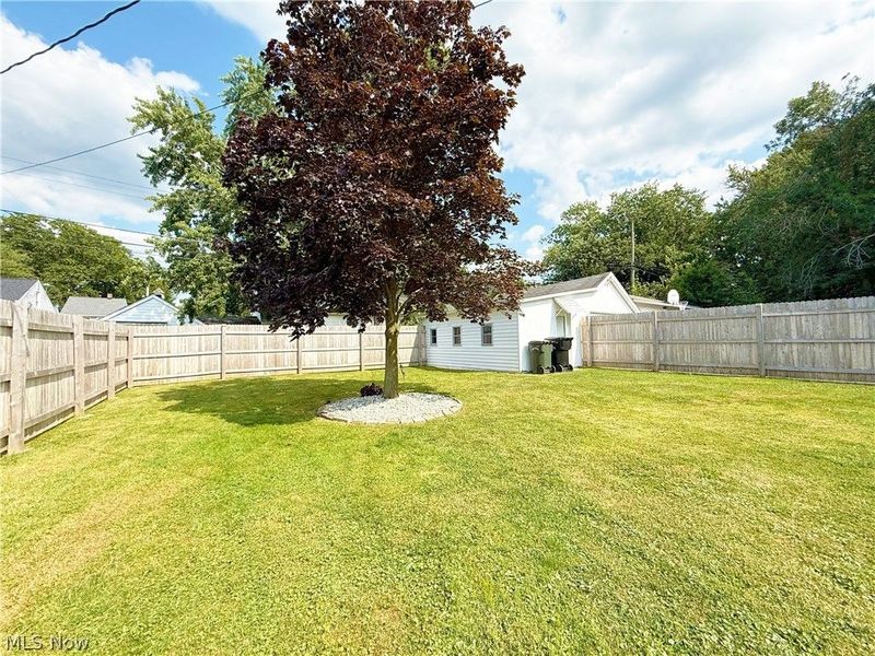 342 Concord Avenue, Elyria, OH 44035 Photo 6