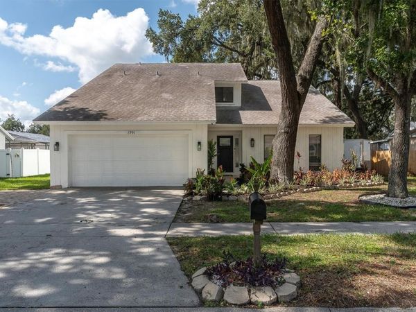 1901 LANDSIDE DRIVE , VALRICO, FL 33594