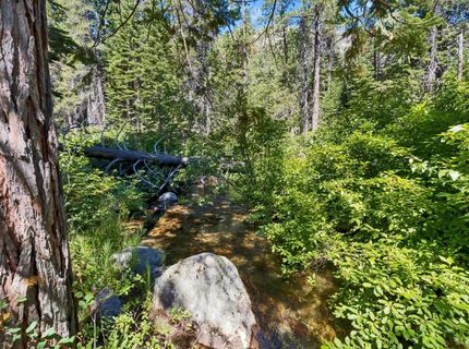17395 42 Mile Stone Road, Unit 5, Twin Bridges, CA 95735 Photo