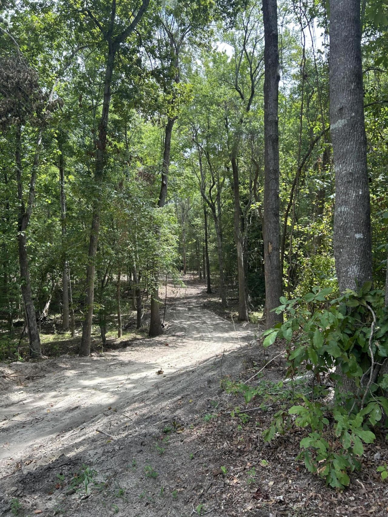 1746 Stukes Road Photo 7