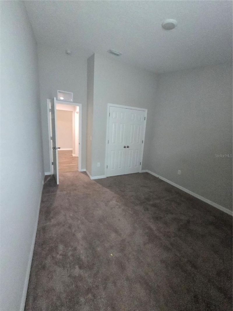 12730 Mangrove Forest Drive, Riverview, FL 33579 Photo