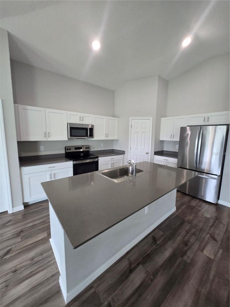12730 Mangrove Forest Drive, Riverview, FL 33579 Photo