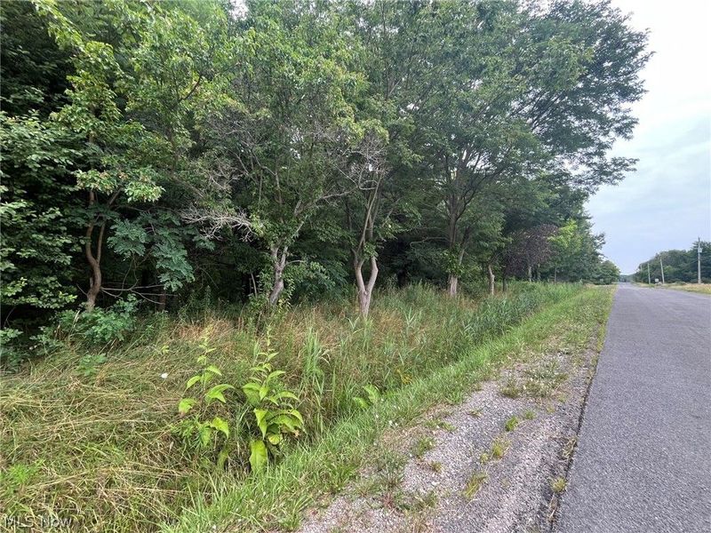 Buie Road, Kingsville, OH 44048 Photo 3