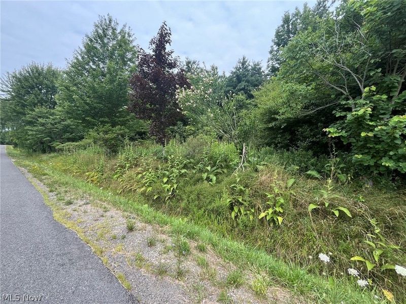 Buie Road, Kingsville, OH 44048 Photo 4