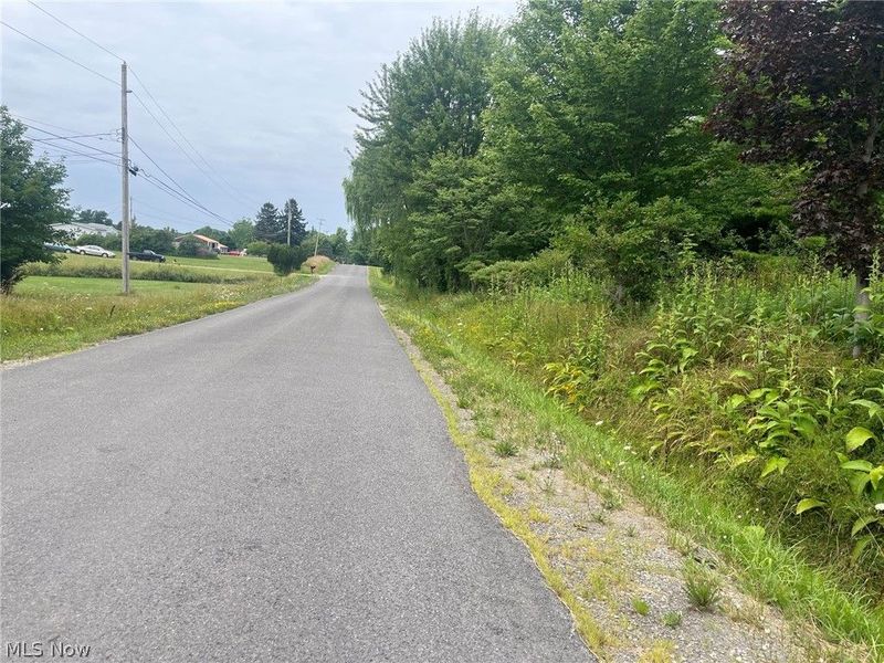 Buie Road, Kingsville, OH 44048 Photo 5