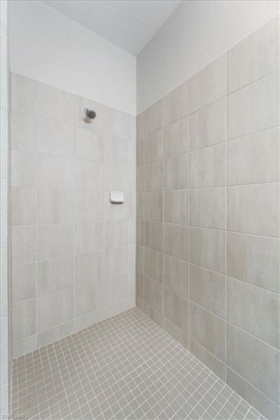 14698 Portico Blvd, Fort Myers, FL 33905 Photo